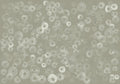Cellular Patterns Quartz Geo Mural by Coordonné
