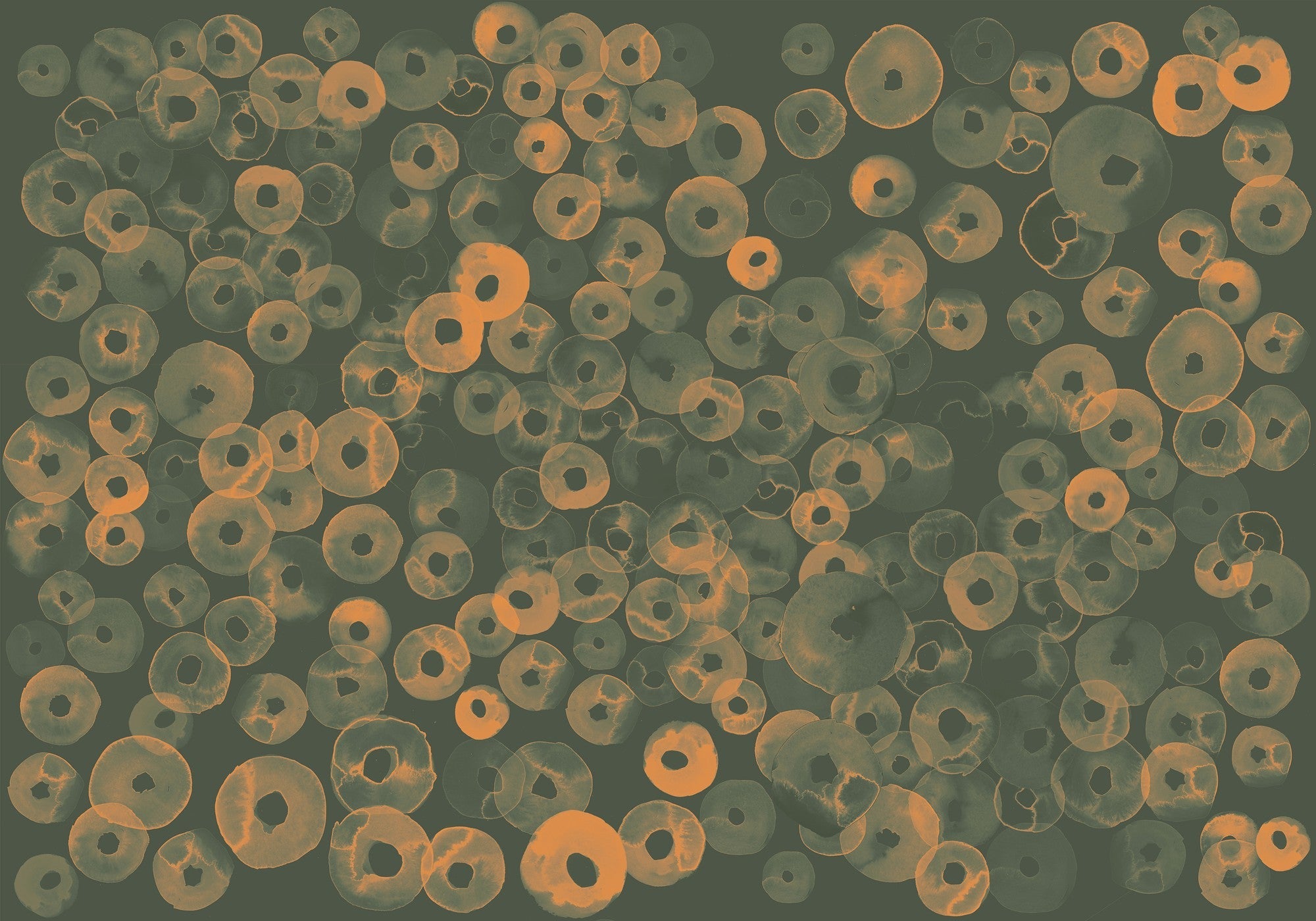 A00156 Cellular Patterns Amber Geo Mural by Coordonné