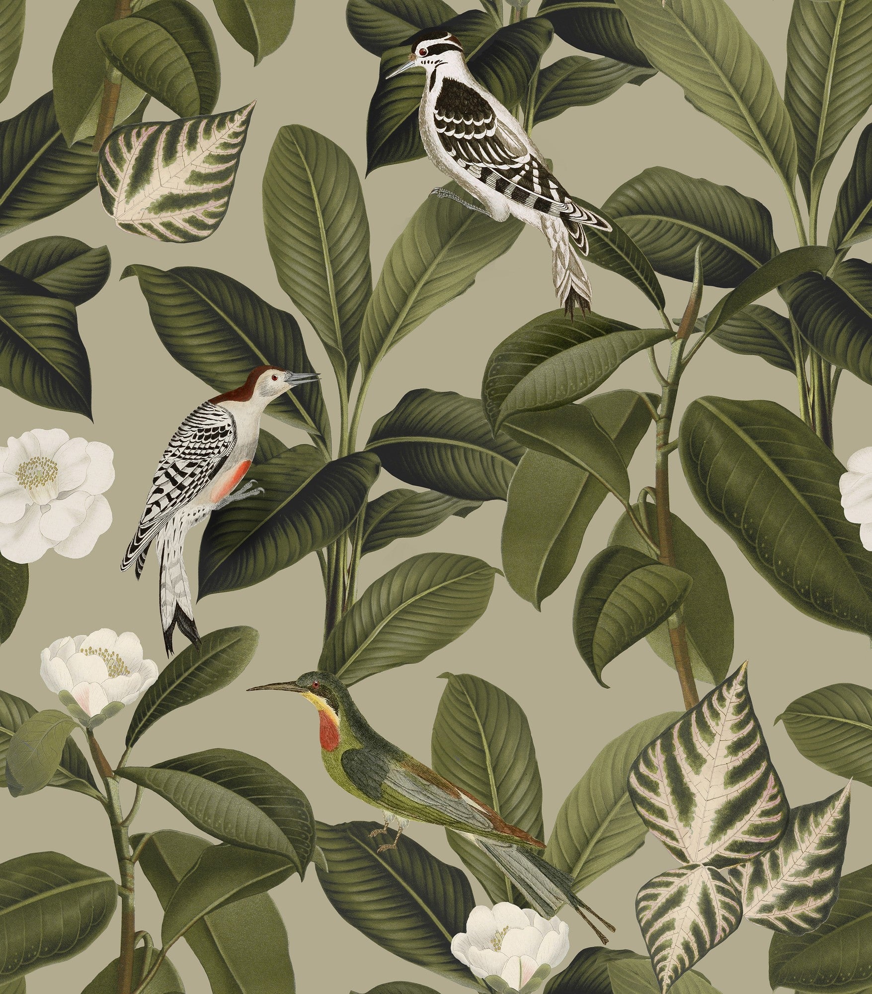 A00207 Rocio Pistacho Feria Wallpaper by Coordonné