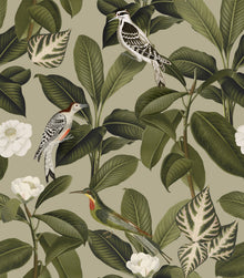 A00207 Rocio Pistacho Feria Wallpaper by Coordonné