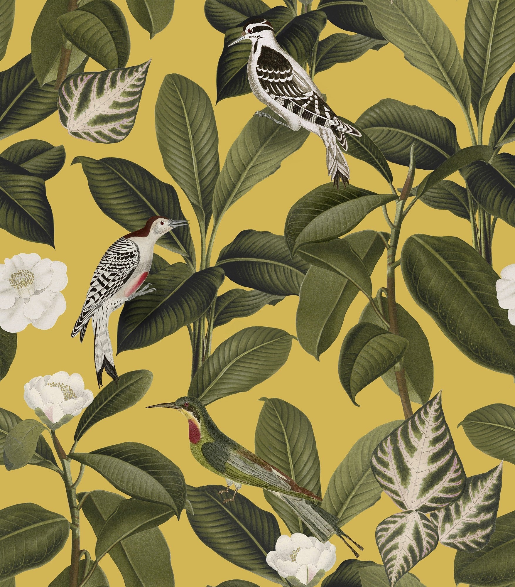 A00208 Rocio Cúrcuma Feria Wallpaper by Coordonné