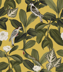 A00208 Rocio Cúrcuma Feria Wallpaper by Coordonné