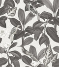 Rocio Arroz Feria Wallpaper by Coordonné