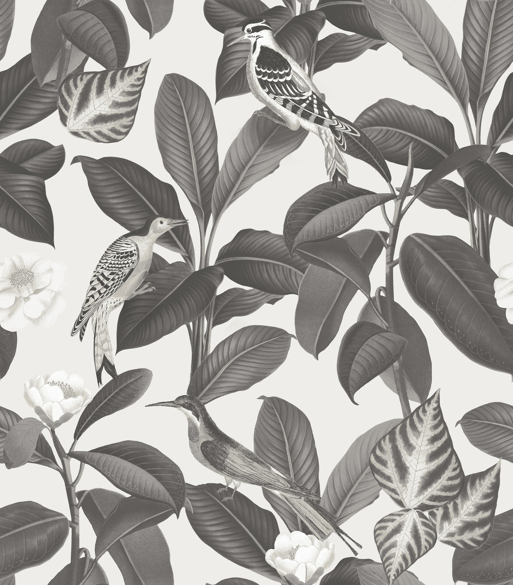 A00209 Rocio Arroz Feria Wallpaper by Coordonné