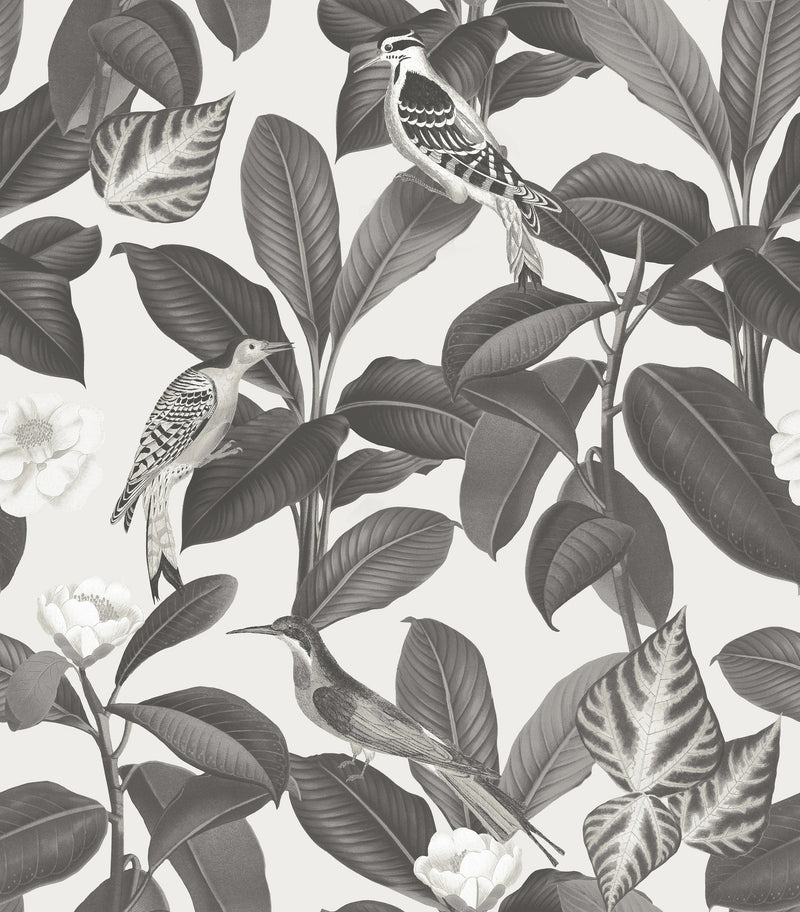 A00209 Rocio Arroz Feria Wallpaper by Coordonné
