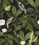 A00210 Rocio Azabache Feria Wallpaper by Coordonné