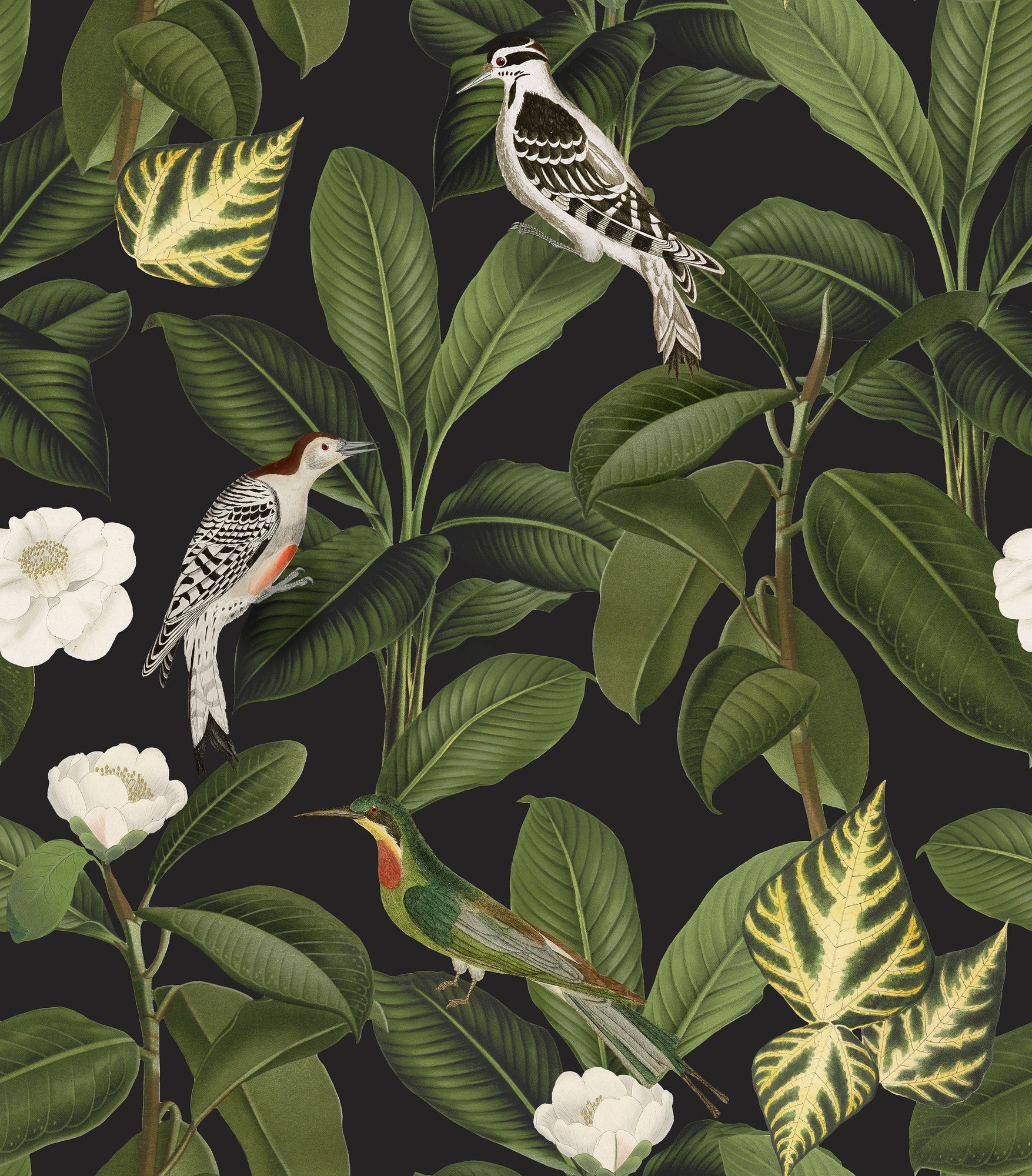 A00210 Rocio Azabache Feria Wallpaper by Coordonné