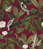 A00211 Rocio Grana Feria Wallpaper by Coordonné
