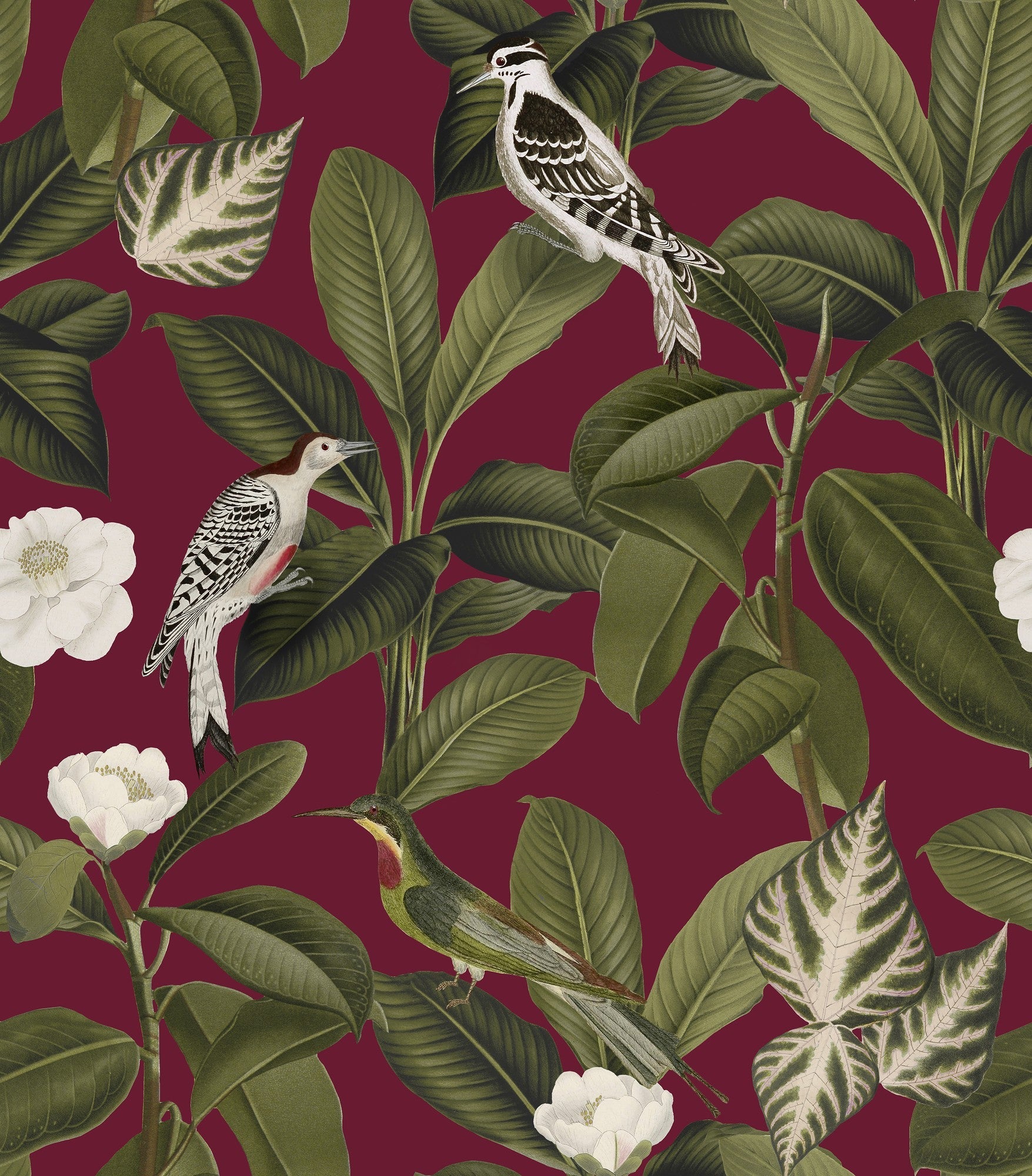 A00211 Rocio Grana Feria Wallpaper by Coordonné