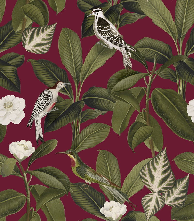 A00211 Rocio Grana Feria Wallpaper by Coordonné