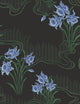 Candela Azabache Feria Wallpaper by Coordonné