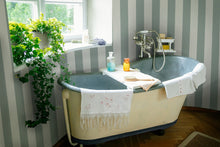 A00257 Antonio Aqua Feria Wallpaper by Coordonné