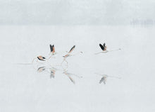 A00318 Doñana Sky Linen Aracne Mural by Coordonné