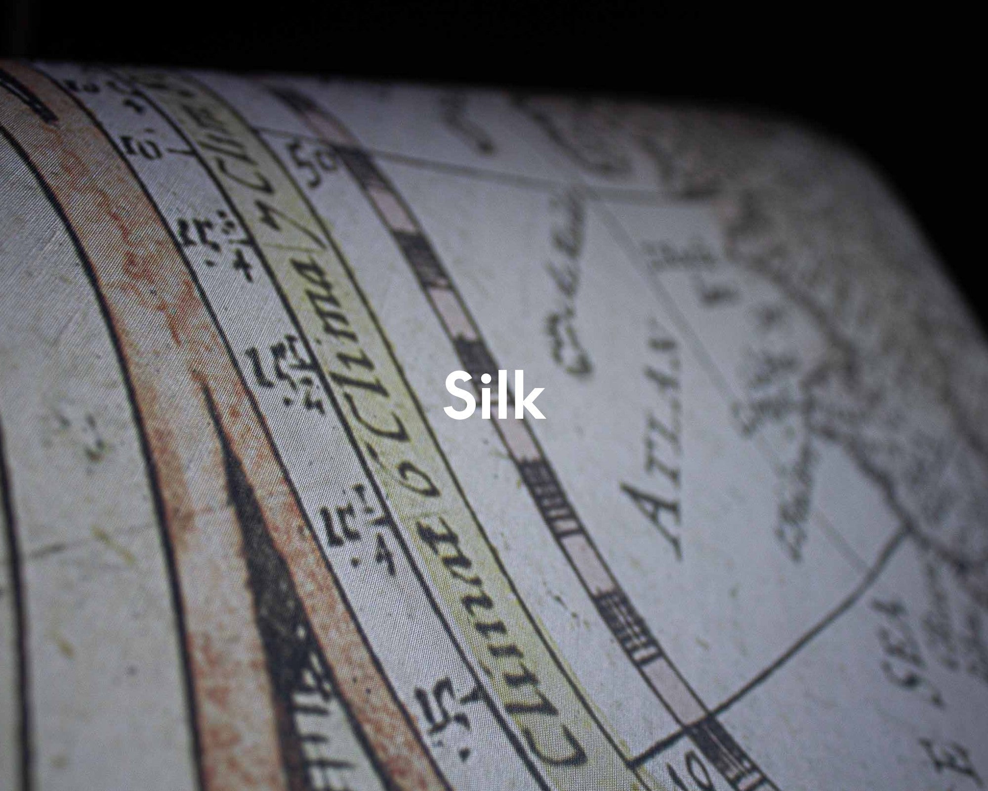 A00325 Historical Map Papyrus Linen Aracne Mural by Coordonné