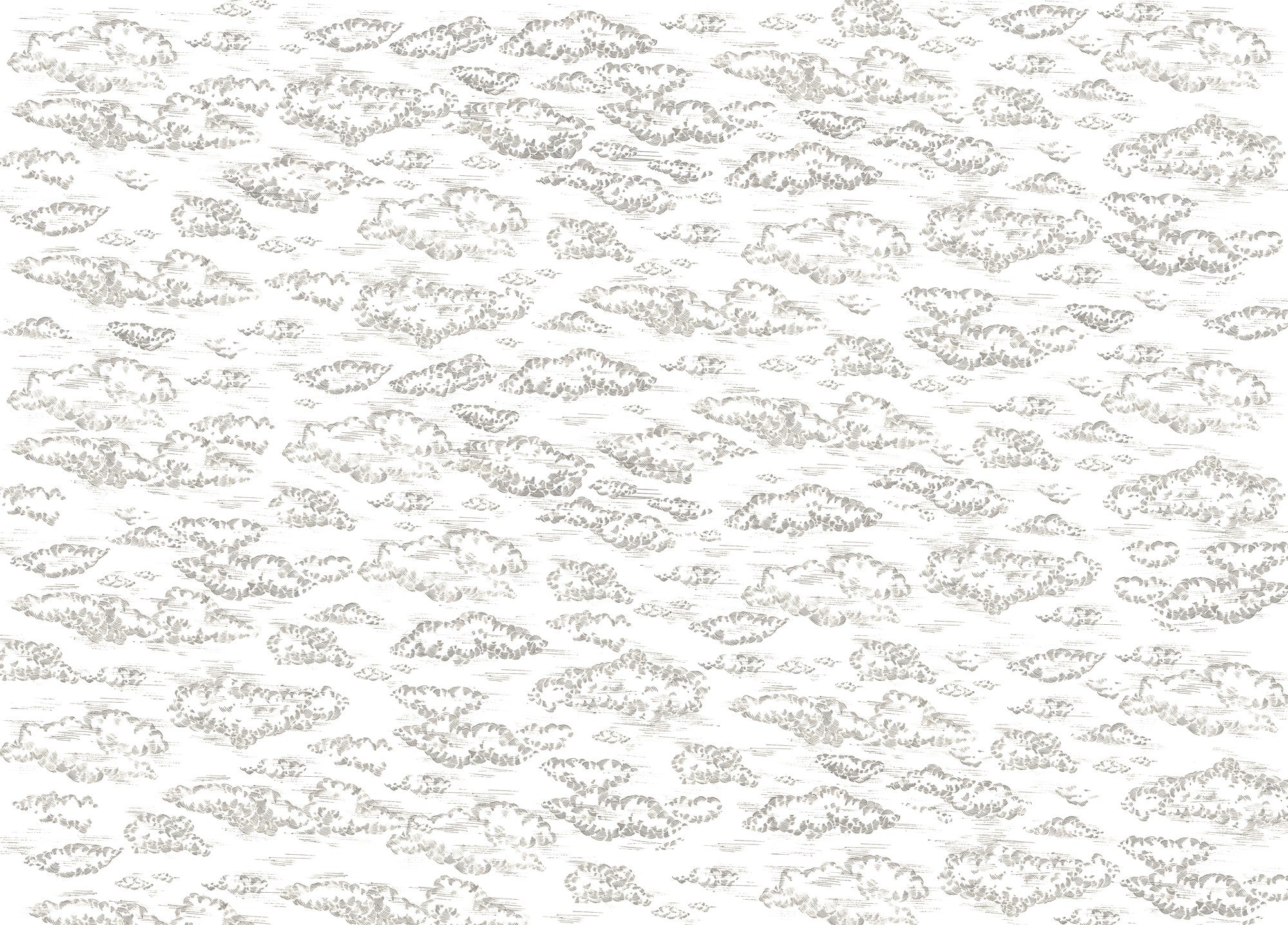 A00327 Zeus Graphite Linen Aracne Mural by Coordonné