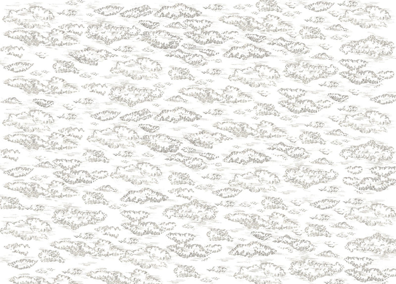 A00327 Zeus Graphite Linen Aracne Mural by Coordonné