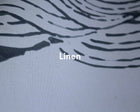 A00335 Waves Papyrus Linen Aracne Mural by Coordonné