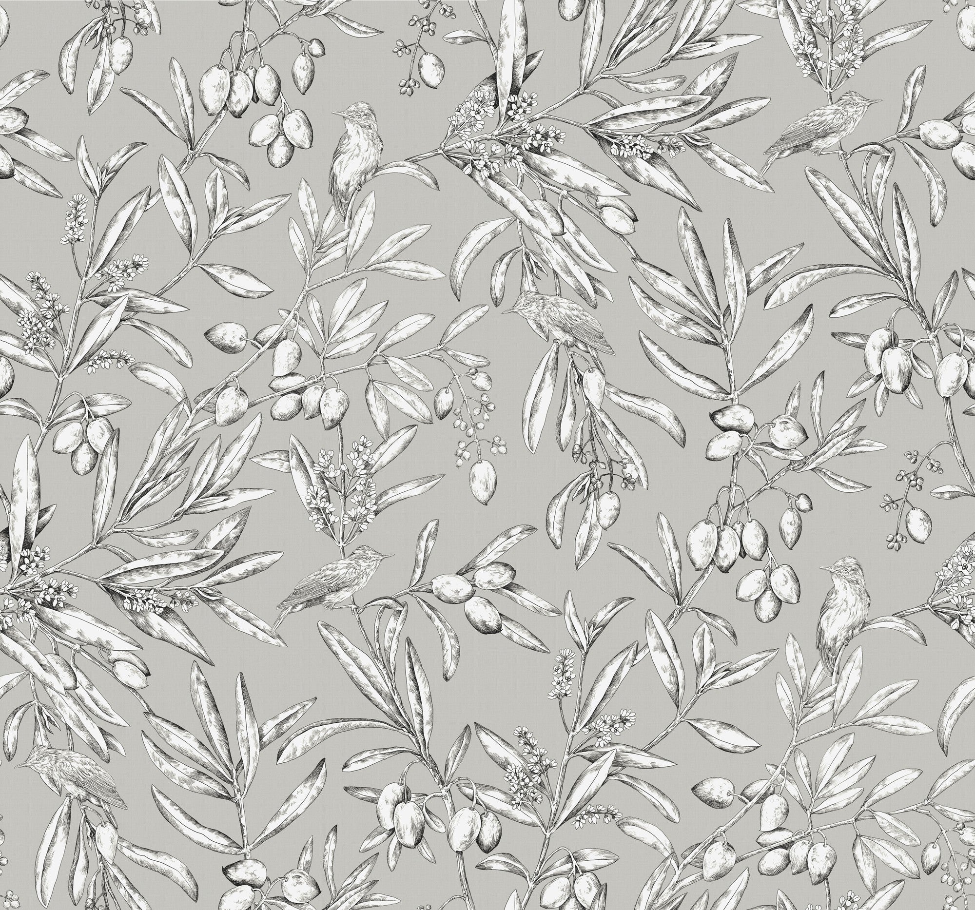 A00500 Aceituna Plata Olivar Wallpaper by Coordonné