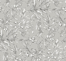 A00500 Aceituna Plata Olivar Wallpaper by Coordonné