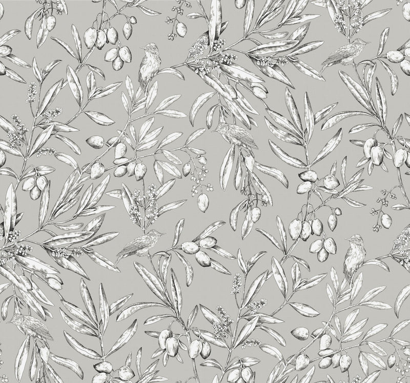 A00500 Aceituna Plata Olivar Wallpaper by Coordonné