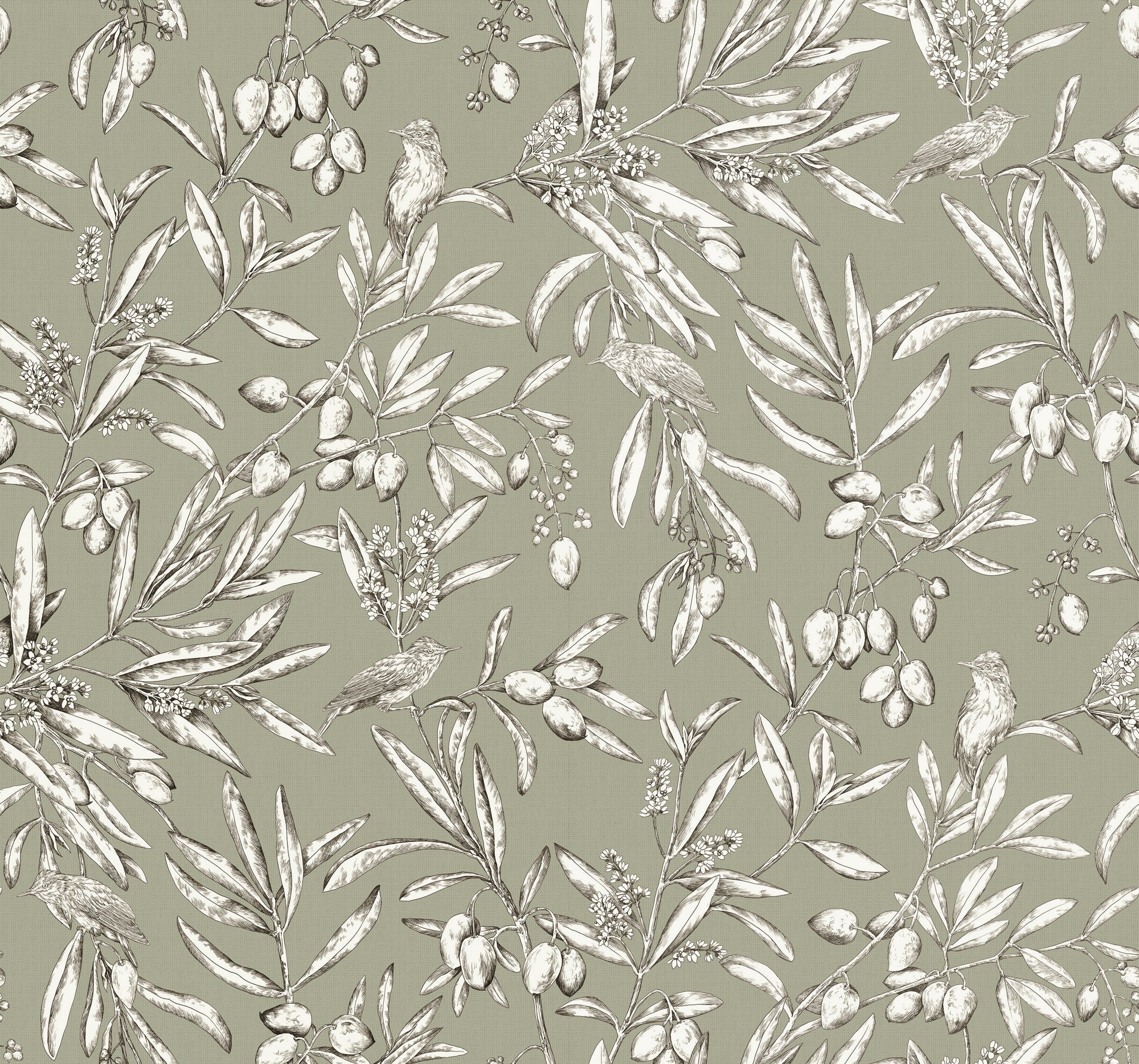 A00502 Aceituna Wild Green Olivar Wallpaper by Coordonné
