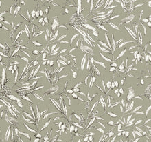 A00502 Aceituna Wild Green Olivar Wallpaper by Coordonné