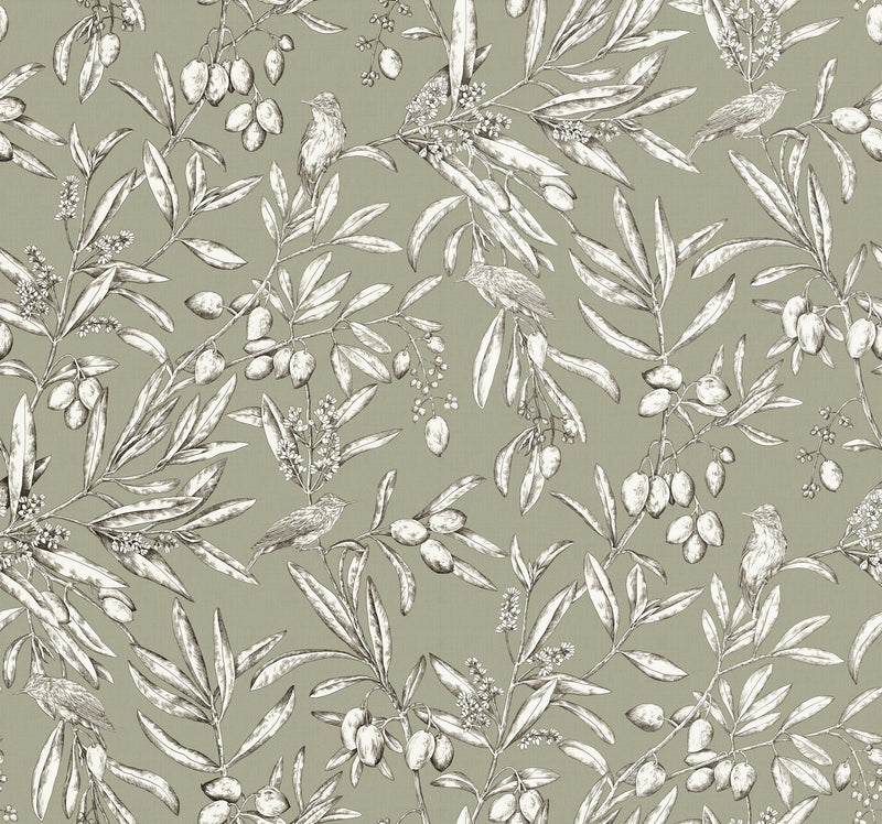 A00502 Aceituna Wild Green Olivar Wallpaper by Coordonné
