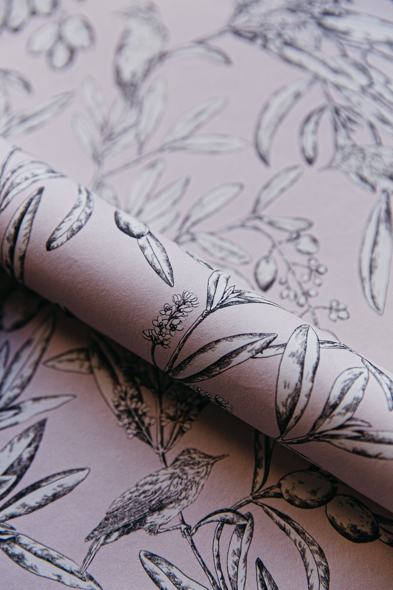 A00503 Aceituna Cava Pink Olivar Wallpaper by Coordonné