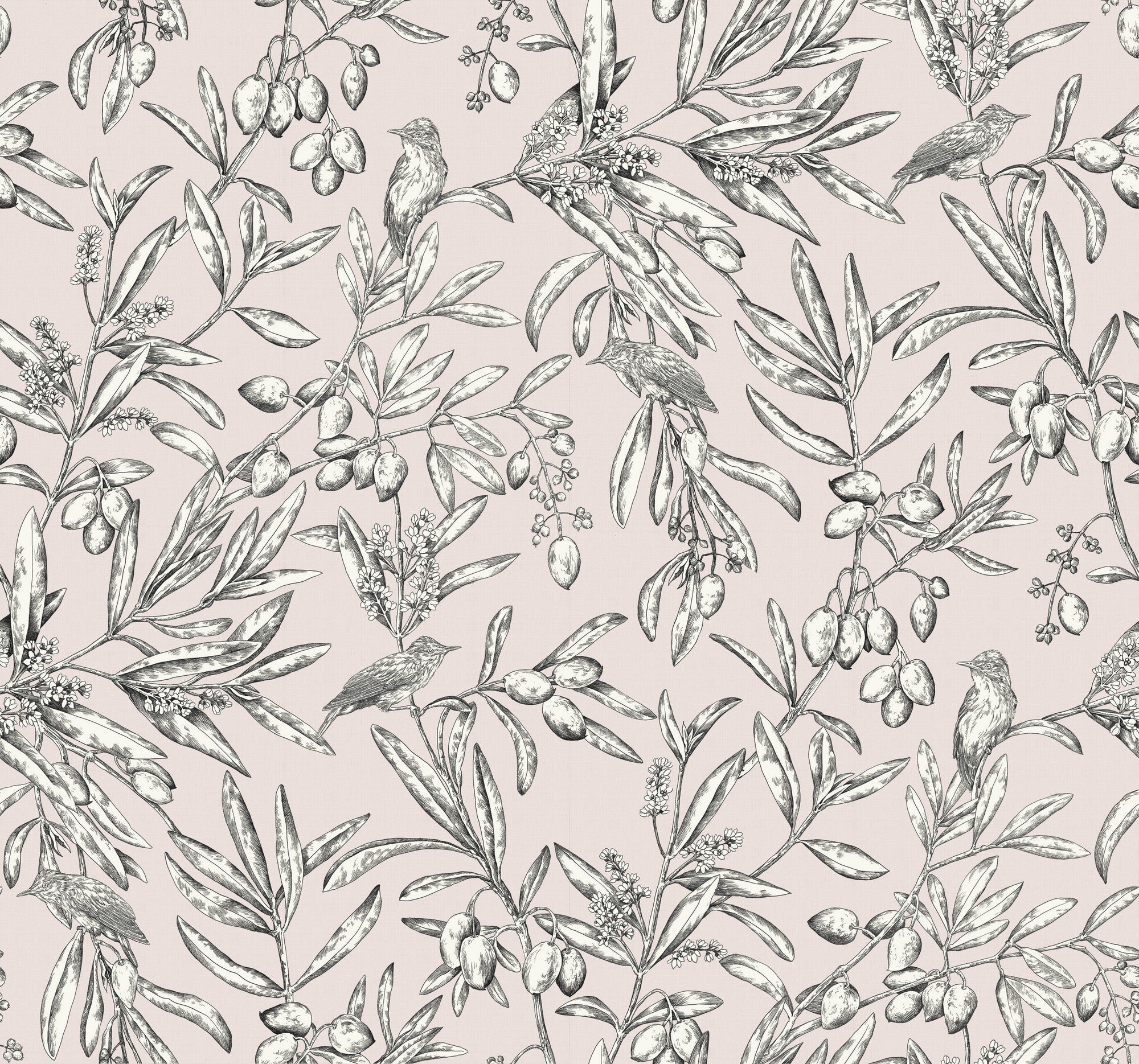 A00503 Aceituna Cava Pink Olivar Wallpaper by Coordonné