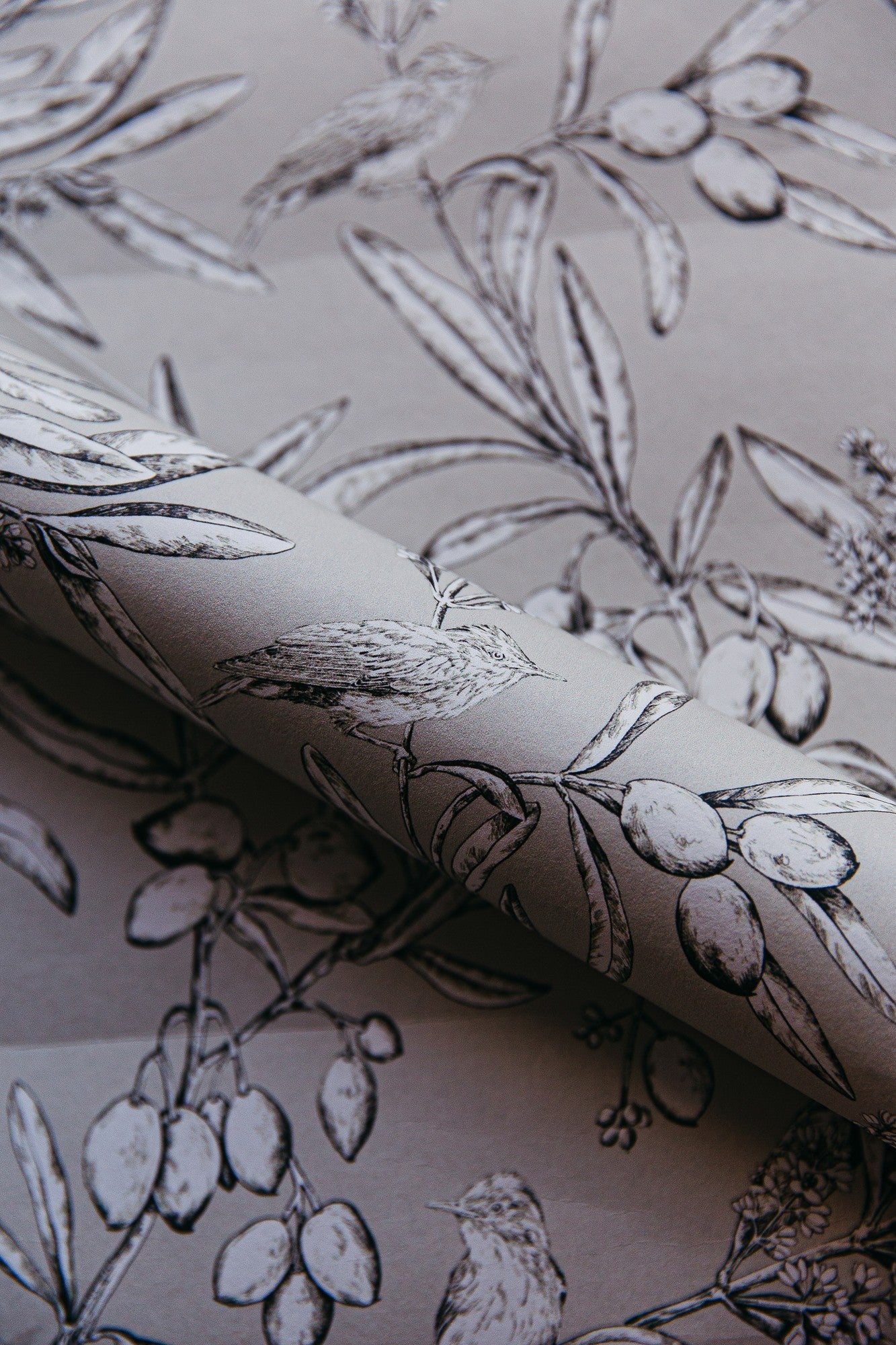A00505 Aceituna Rice Beige Olivar Wallpaper by Coordonné