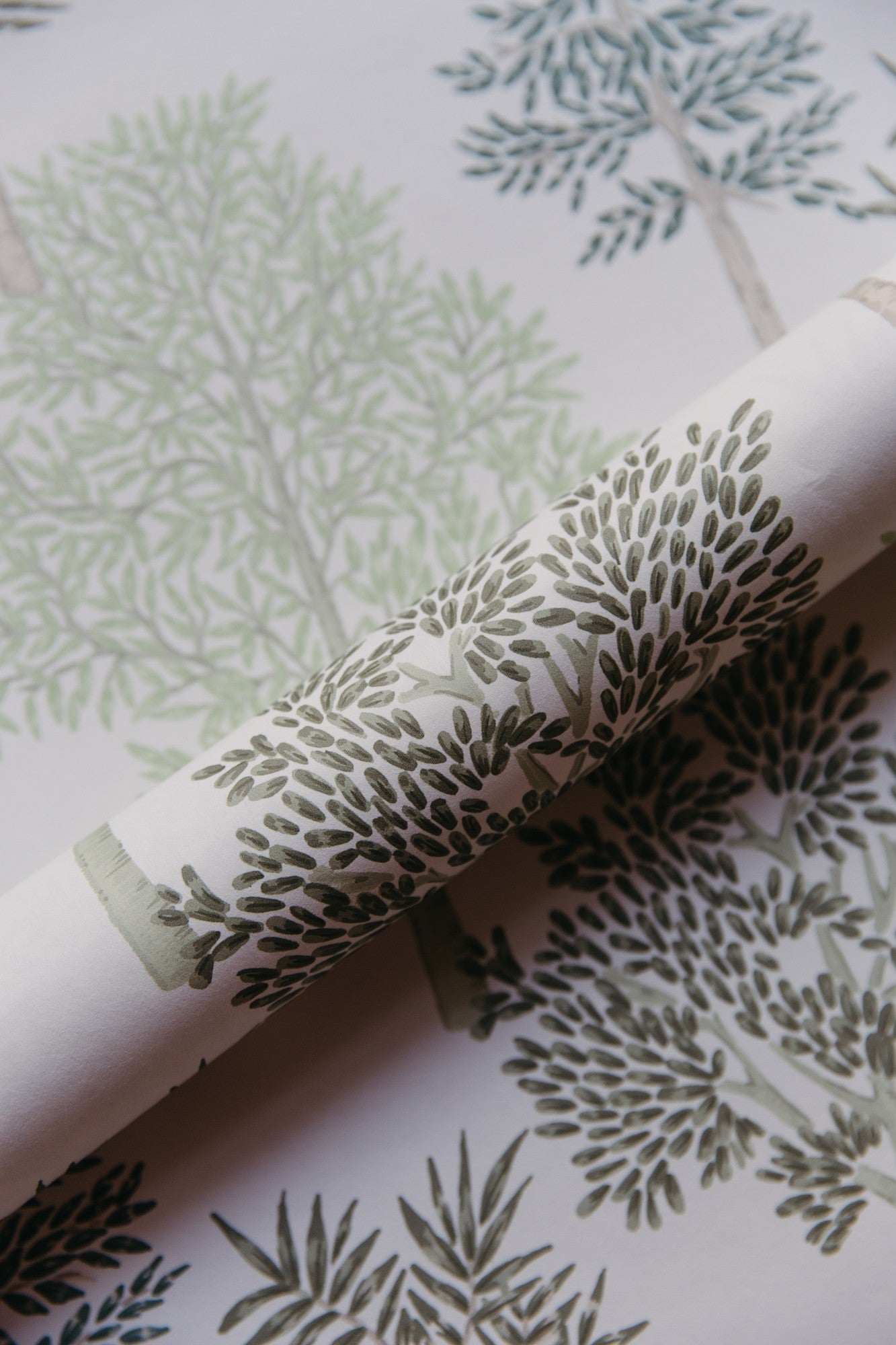 A00513 Arboleda Wild Green Olivar Wallpaper by Coordonné