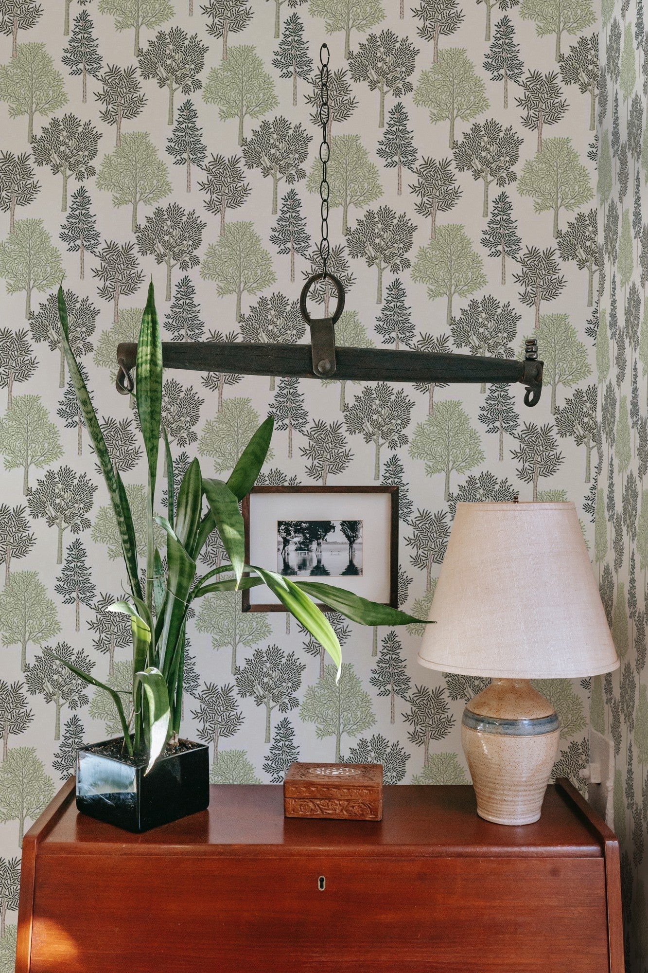 A00513 Arboleda Wild Green Olivar Wallpaper by Coordonné
