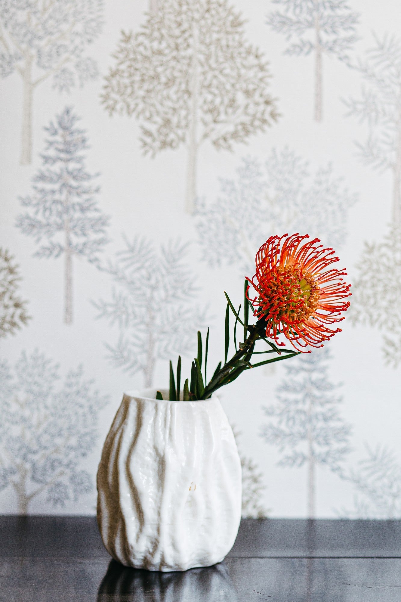 A00514 Arboleda Leather Brown Olivar Wallpaper by Coordonné