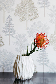 A00514 Arboleda Leather Brown Olivar Wallpaper by Coordonné
