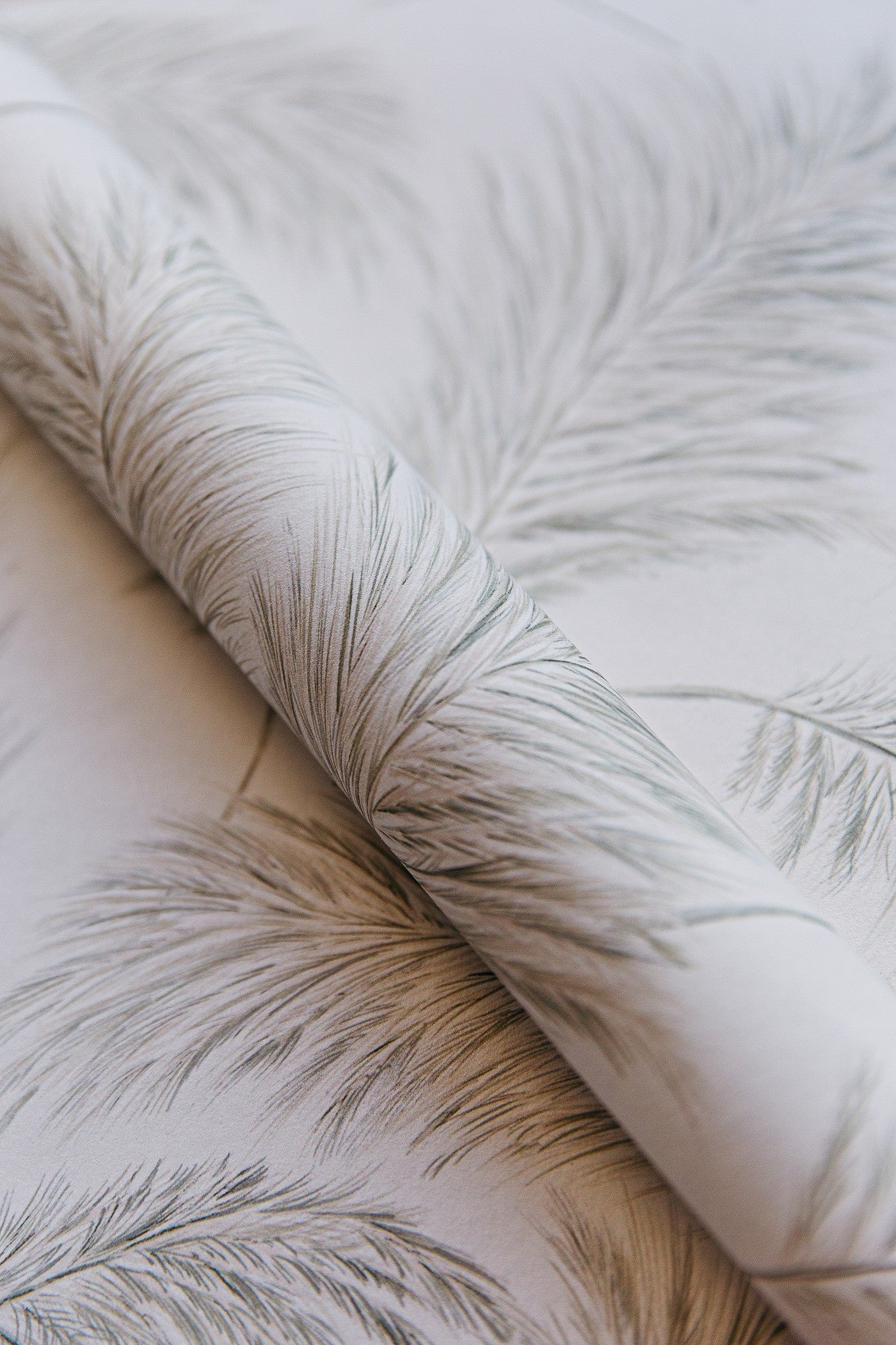 A00522 Plumero Alabaster Olivar Wallpaper by Coordonné