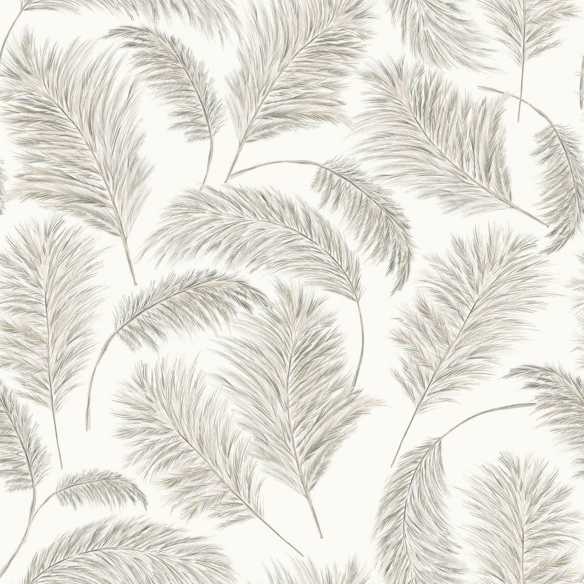 A00522 Plumero Alabaster Olivar Wallpaper by Coordonné