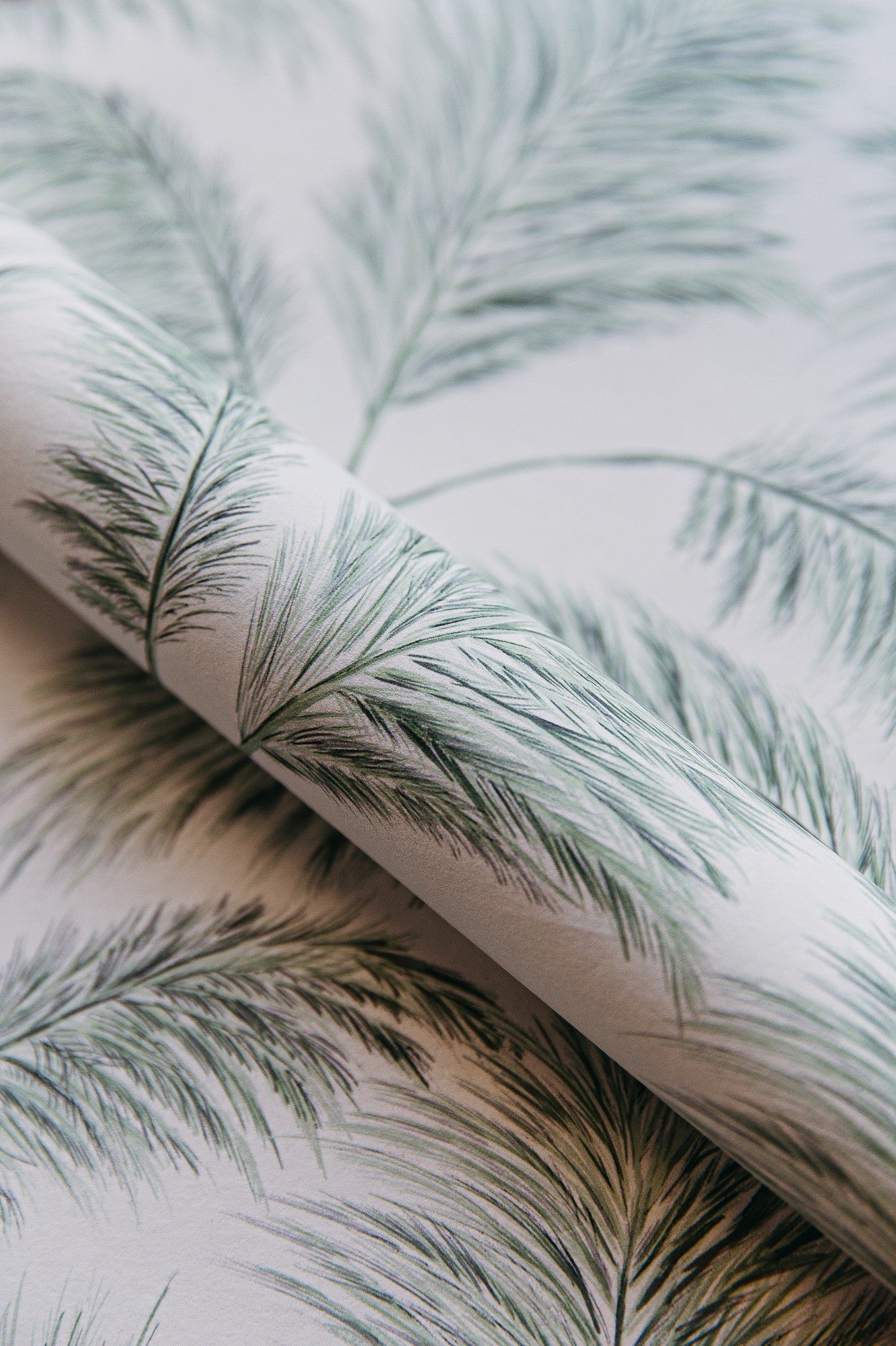 A00523 Plumero Vine Olivar Wallpaper by Coordonné