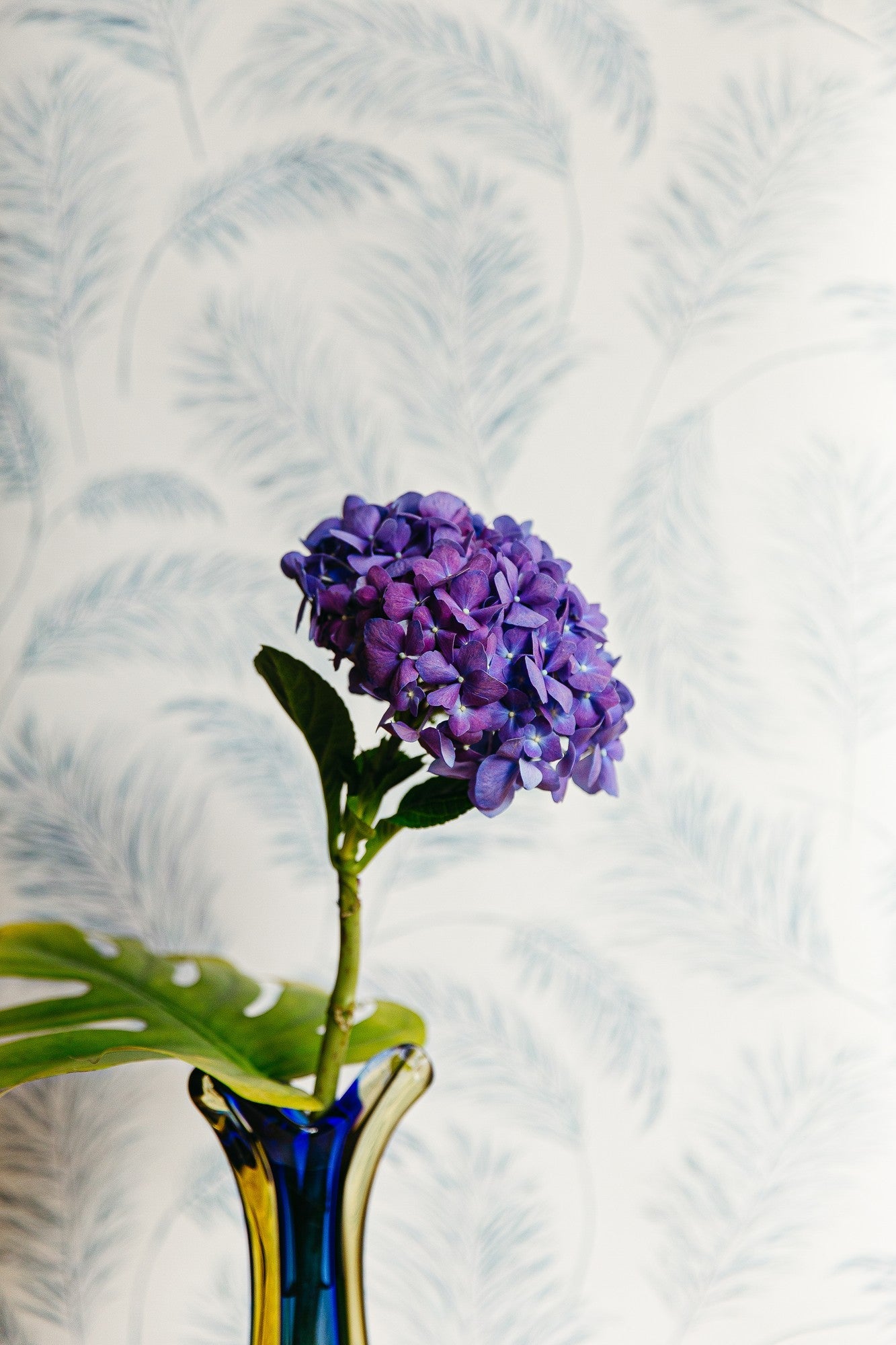 A00524 Plumero Barcelona Olivar Wallpaper by Coordonné