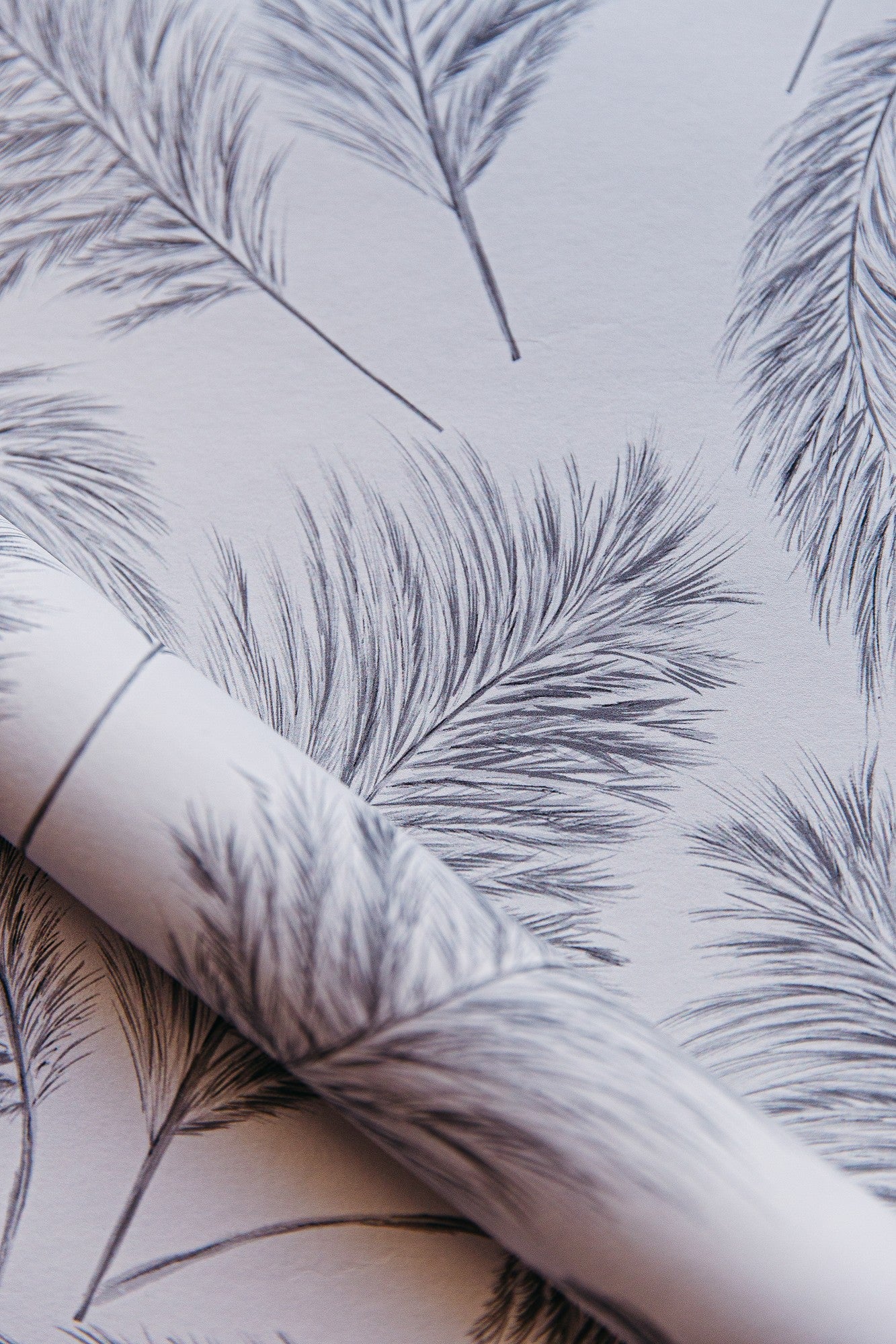 A00525 Plumero Plata Olivar Wallpaper by Coordonné