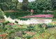 Jardín del Espejo Spring Lur Mural by Coordonné