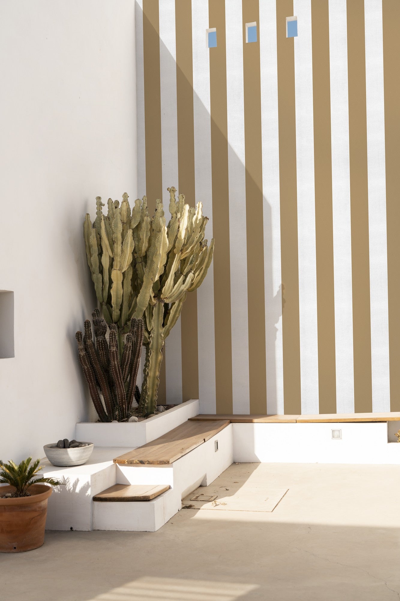 A00739 Stripe 8 Curry Stripes & Checks Wallpaper by Coordonné