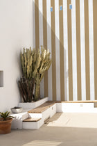 A00739 Stripe 8 Curry Stripes & Checks Wallpaper by Coordonné