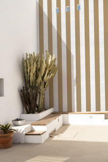 A00739 Stripe 8 Curry Stripes & Checks Wallpaper by Coordonné