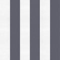 Stripe 8 Galaxia Stripes & Checks Wallpaper by Coordonné