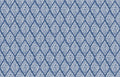 Kasuri Blue Ikart Wallpaper by Coordonné