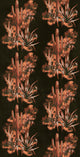 Grand Canyon Black Central Saint Martins Rest Time Wallpaper by Coordonné