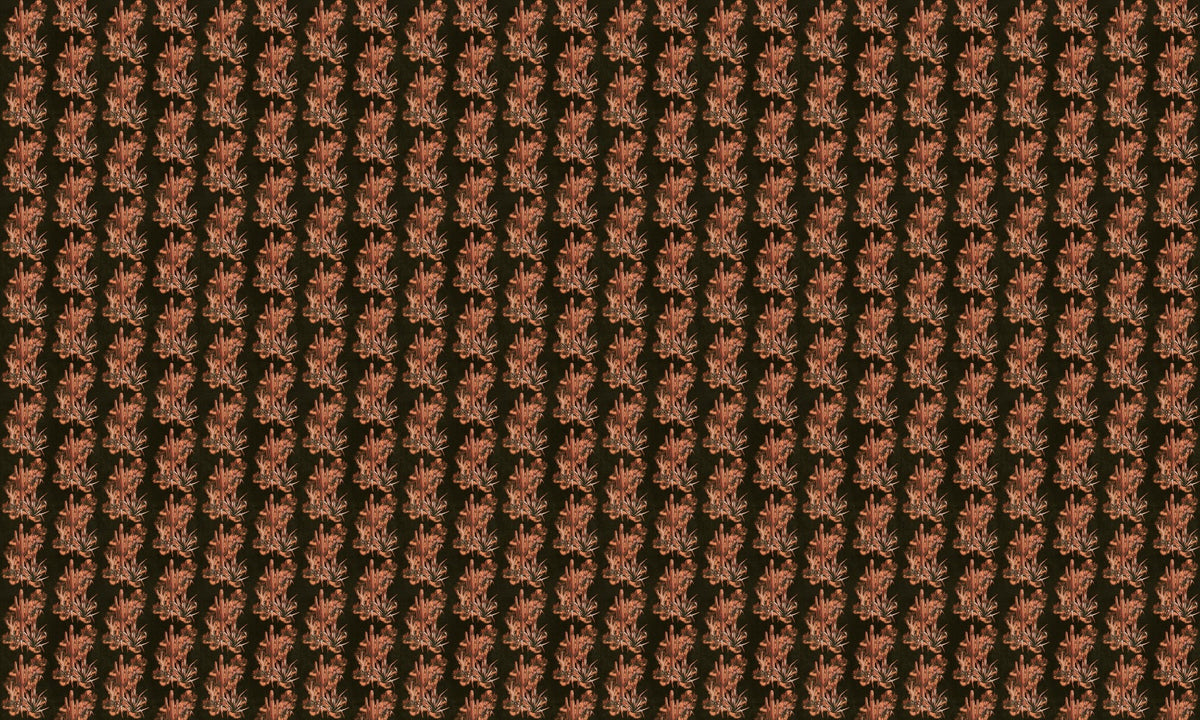 A00903 Grand Canyon Black Central Saint Martins Rest Time Wallpaper by Coordonné