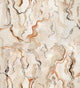 Timeless Stones Beige Central Saint Martins Rest Time Wallpaper by Coordonné