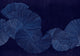Diving Moment Indigo Central Saint Martins Rest Time Mural by Coordonné (400x280cm)