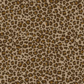 Leopard Chocolate & Gold Paul Moneypenny Wallpaper by Grandeco